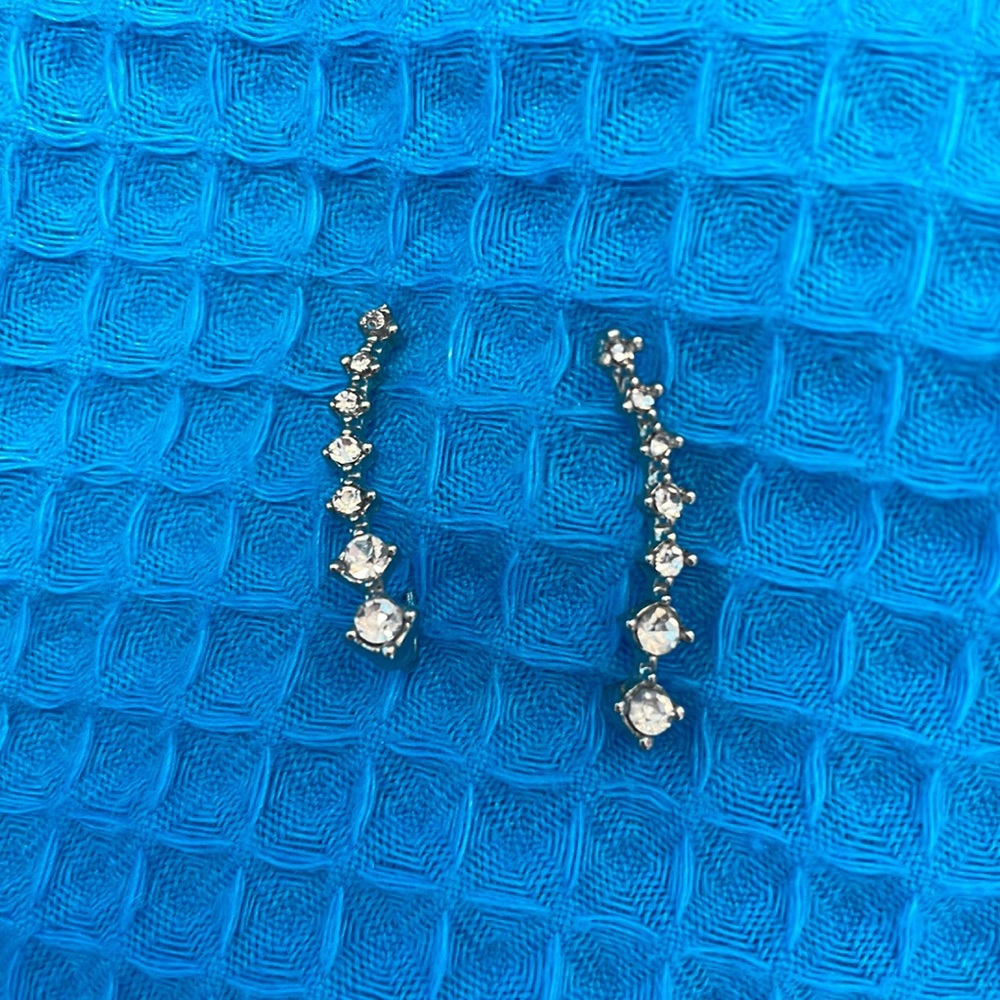 Earrings - climbing